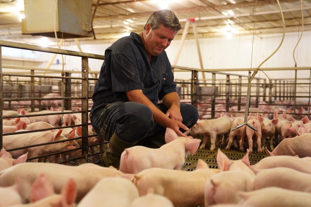 Happy Pig and Farmer